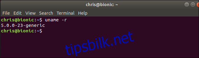 uname-kommando som viser Linux-kjerne 5.0 som kjører på Ubuntu 